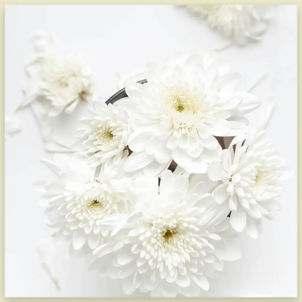Chrysanthemums funeral flower image