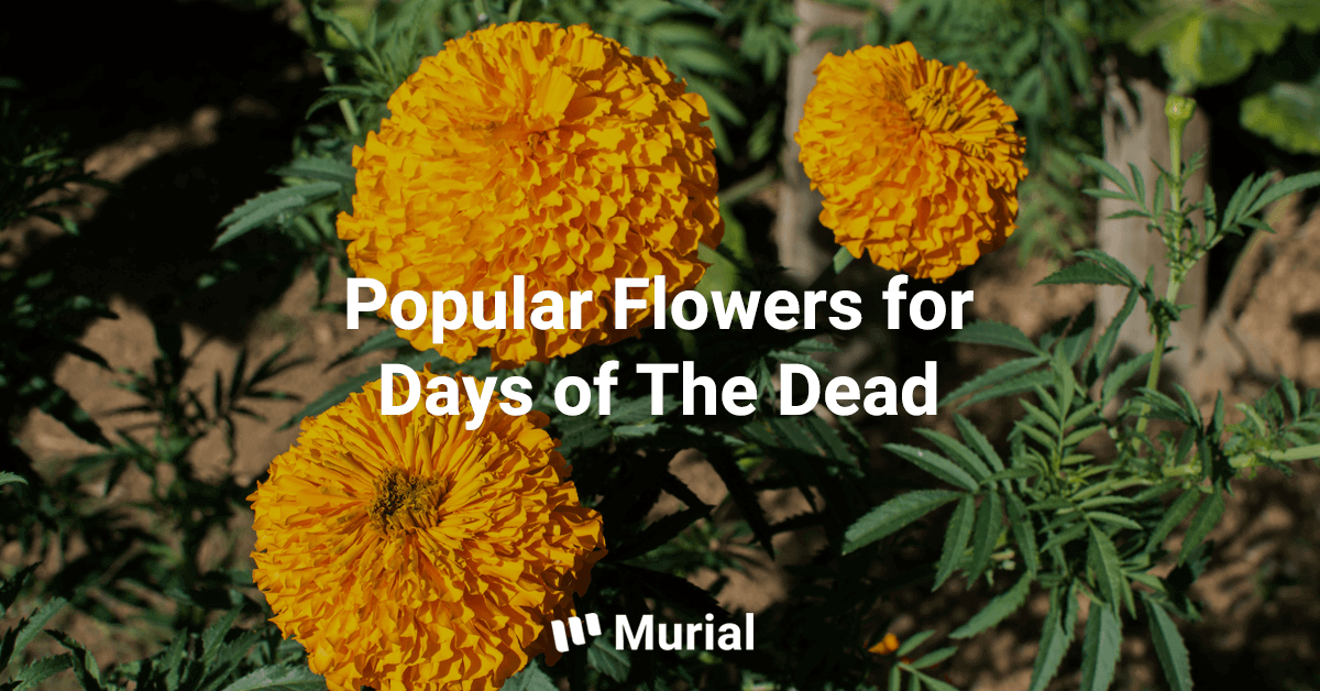 days of the dead flower image